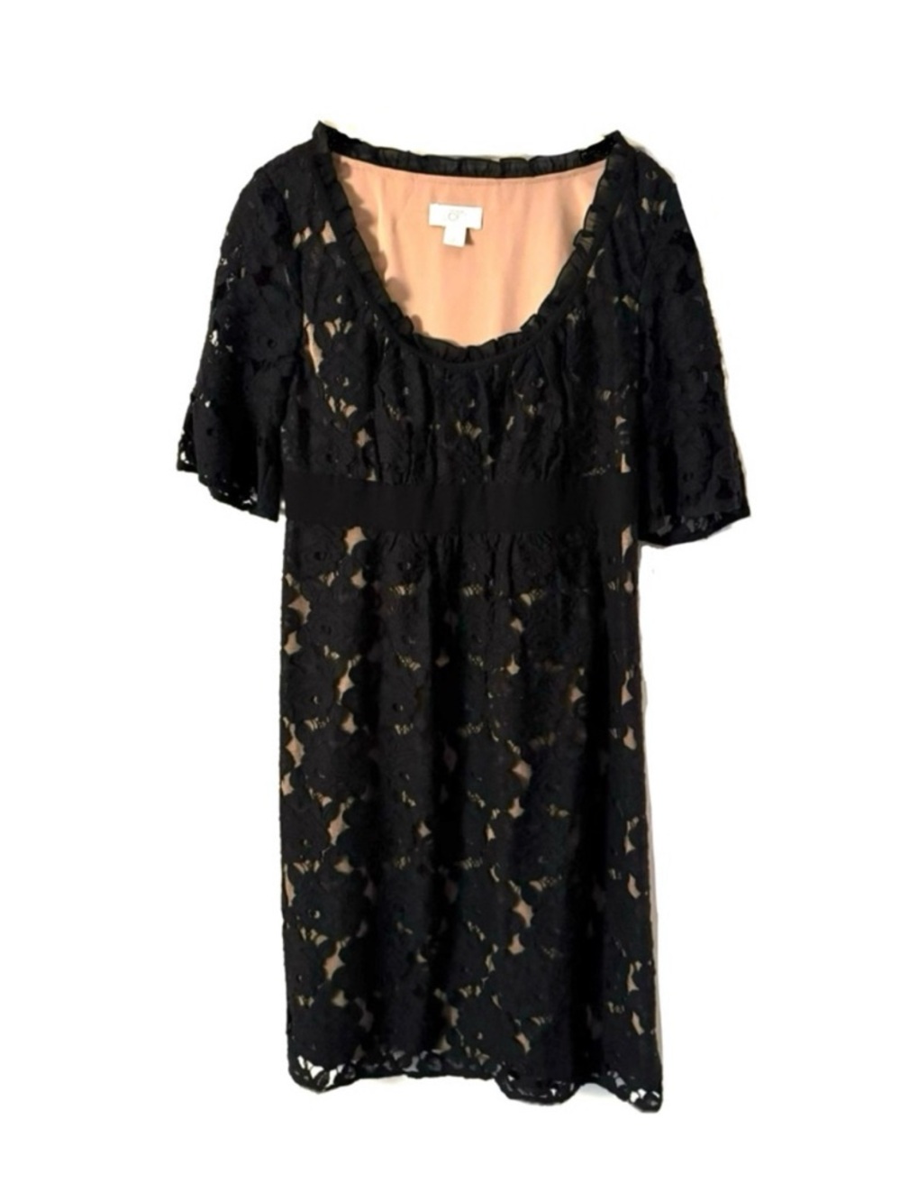 Ann Taylor Loft Black Lace Overlay Cocktail Dress